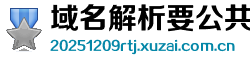 域名解析要公共ip还是私有ip